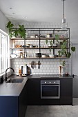 Houseplants on open, metal and wood shelves in kitchen