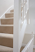 Treppe mit neu verlegtem beigem Teppich auf den Stufen