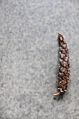 Resin-covered pine cone on mottled surface