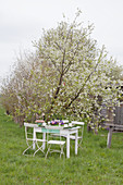 Festively set table under flowering apple tree in garden