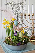 Easter eggs in bowl planted with narcissus in front of candelabra