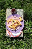 Bow-shaped pastries on purple plate in meadow