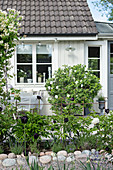 Flowering plants in garden outside white Scandinavian wooden house