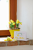 Narcissus in yellow pot and invitation card on windowsill