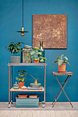 Rollwagen und Klapptisch mit Pflanzen vor blauer Wand