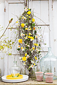 DIY-Blumenschmuck aus Narzissen