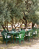 Grüne Rattanstühle um gedeckten Tisch im mediterranen Olivengarten