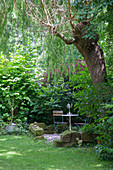 Schattiger Sitzplatz unter Bäumen im Garten