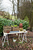 Miniature vegetable patch in wooden crates
