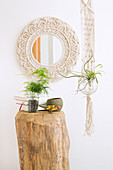 Mirror with macrame frame, houseplant on tree stump table and macrame plant holder
