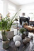 Pflanzen und Dekokugeln auf dem Tisch im Wohnzimmer