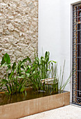 Plants in rectangular pond against stone wall and house wall