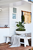 White wooden bench and planted bowl on veranda