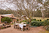 Gedeckter Tisch unter Baum mit Lampions im Garten