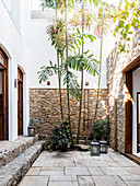 Stone walls and palms in courtyard garden between two buildings