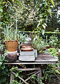 Old wooden planting table in mature, natural-style garden