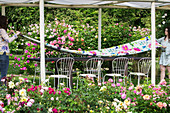Two women laying a table below a pergola in a rose garden