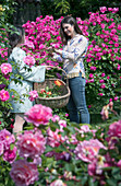 Frauen schneiden Rosenblüten im Garten