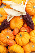 Small pumpkins, physalis pods and dark-red corn cobs