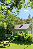 Kleines grünes Gartenhaus hinter hohem Farn im Sommergarten