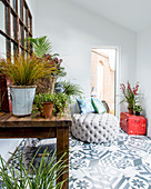 Many houseplants in connecting room with patterned floor