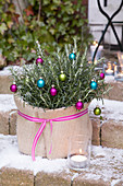 Potted rosemary decorated with small baubles and wrapped in hessian sack