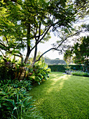 Lawn under trees in an elegant landscaped garden