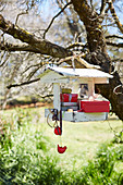 Bird feeder with small gifts and Christmas decorations