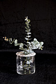 Eucalyptus twigs in vase with perforated lid made from modelling clay