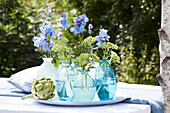 Delphinium in glass vases and artichoke on garden table