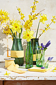 Spring arrangement of forsythia, narcissus and hyacinths in bottles and glasses