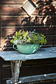 Lady's mantle, cow parsley, flax and cranesbill in green pot with handle