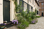 Residential street in historical old town decorated with planted containers, beds and climbing plants