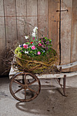 Large next lavishly planted with flowers on old wheelbarrow