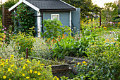 Gemüsegarten mit Hochbeeten und Gartenhaus