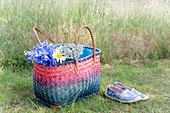 Flowers in colourful basket and shoes on lawn