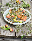 Crab apples and clematis seed heads on plate on garden table