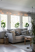 Grey sofa below windows with houseplants on sills in living room