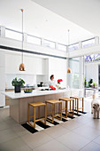 Woman and dog in modern open kitchen with high ceiling