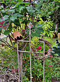 Eisengestell mit Eisenkrone und Kranz mit wilder Möhrenblüte unter Judasbaum