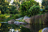 Garden pond with rocks in densely overgrown gardens