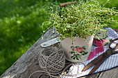Thyme in zinc bucket decorated with rose motif