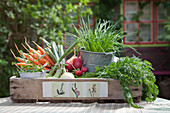 Vegetables on wooden tray decorated with floral motif made from old crate