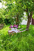 Lilac in ornamental tub on old wooden cart in garden