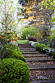 Weg im Garten, gesäumt mit japanischen Azaleen als Hecke