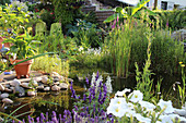 Garden pond with marsh plants on the terrace