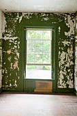 Peeling green wall paint in derelict room