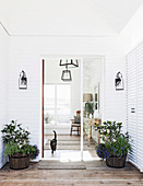 Entrance area with plant pots and glass door