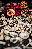 Seashells and dried roses