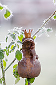 Iron frog prince next to rose plant covered in hoar frost